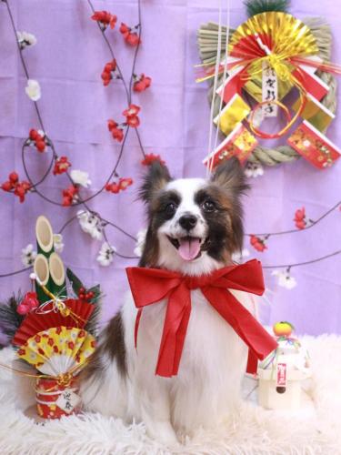 20230122マリーちゃん